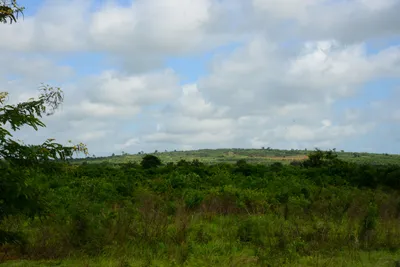 DSC_8089 (Large).JPG